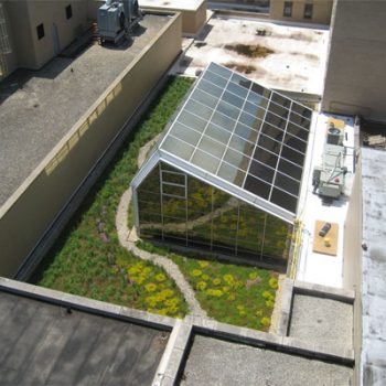 Green Roofing Services
