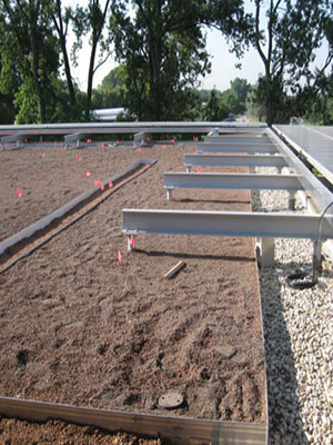 Green Roofing Services | Knickerbocker Roofing & Paving